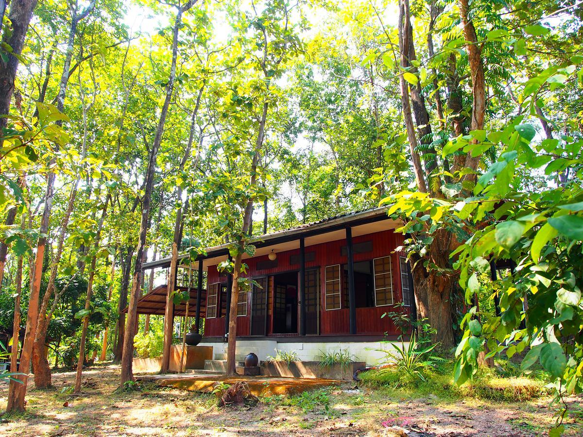 Golden Teak Homestay Mae Rim Exteriör bild